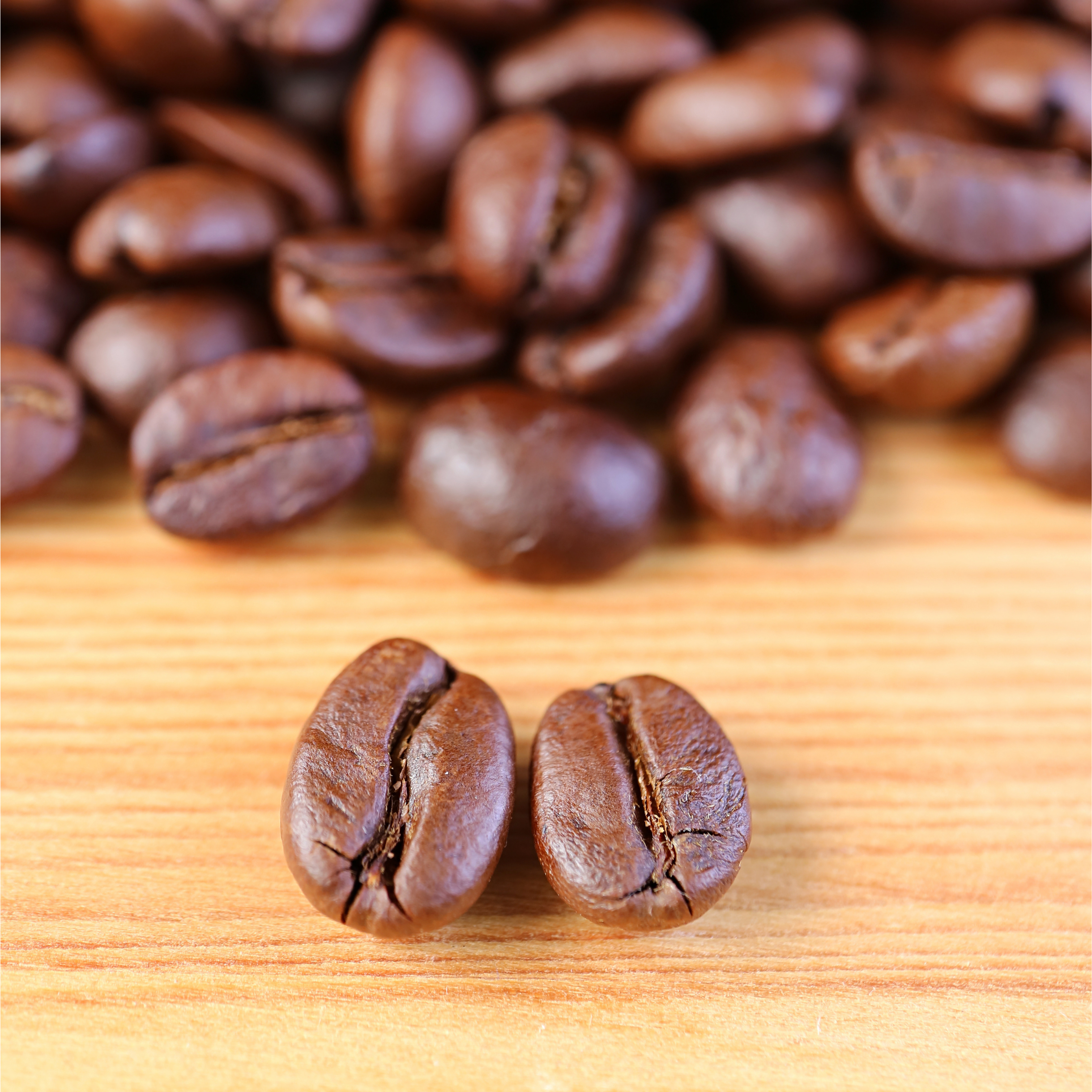 Arabica vs. Robusta: What's the Difference?