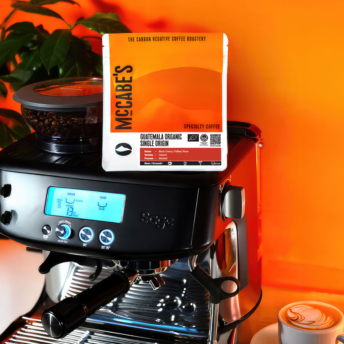 Guatemala Organic