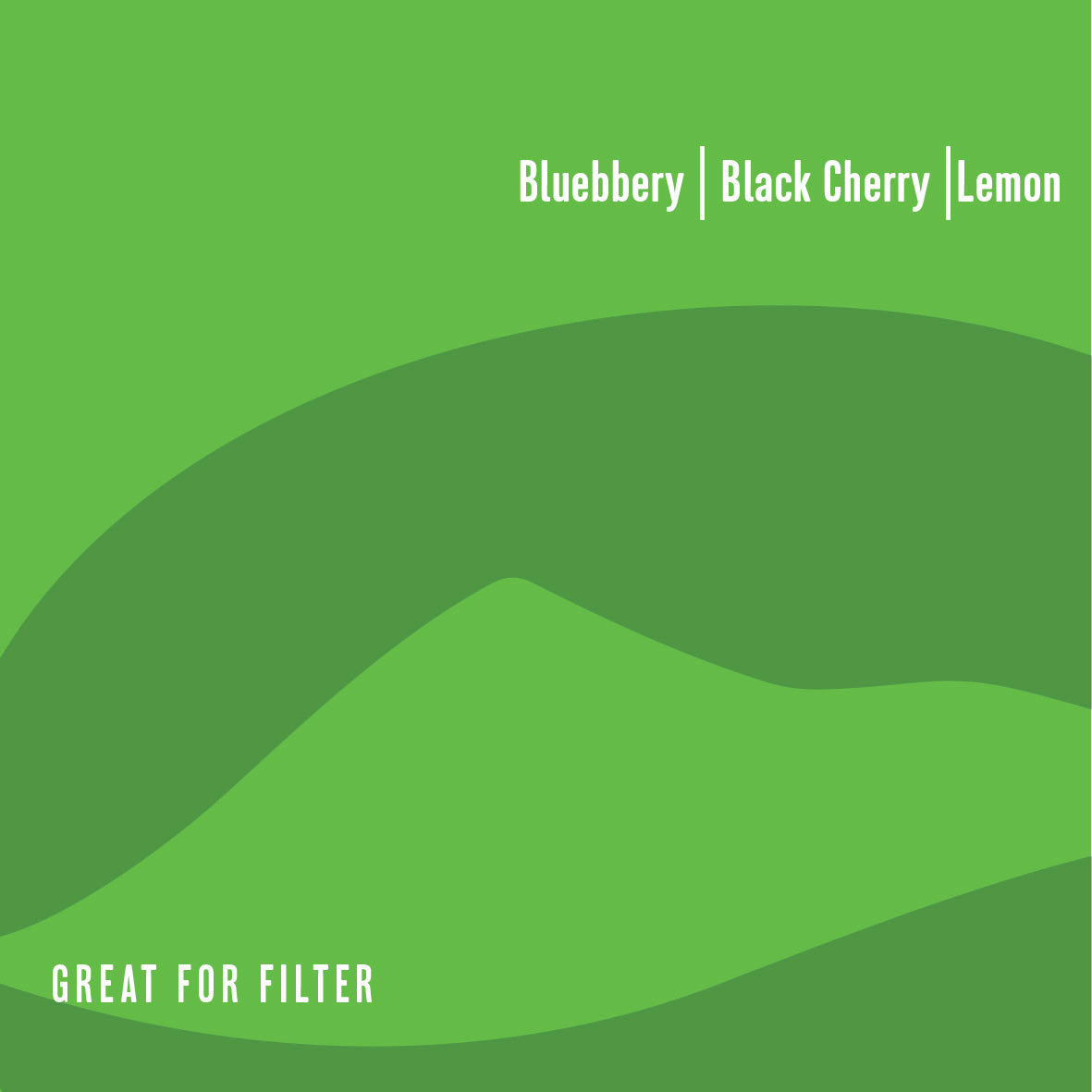 Kenya Single Origin