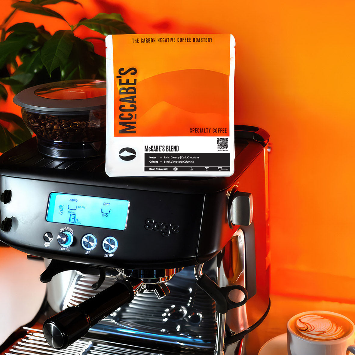 McCabe's Blend - Most Popular Coffee