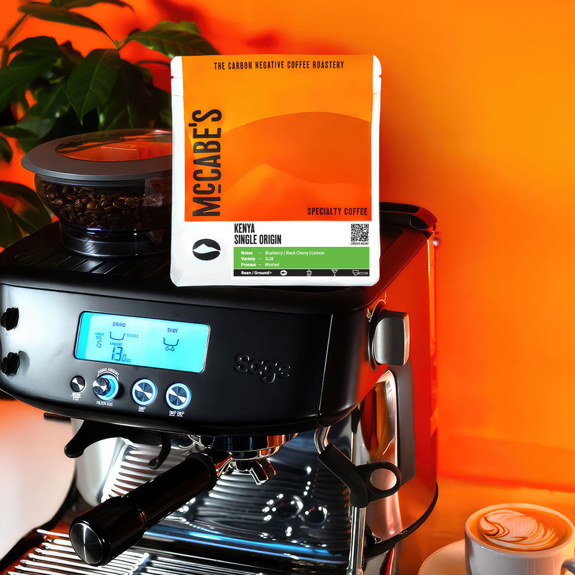 Kenya Single Origin