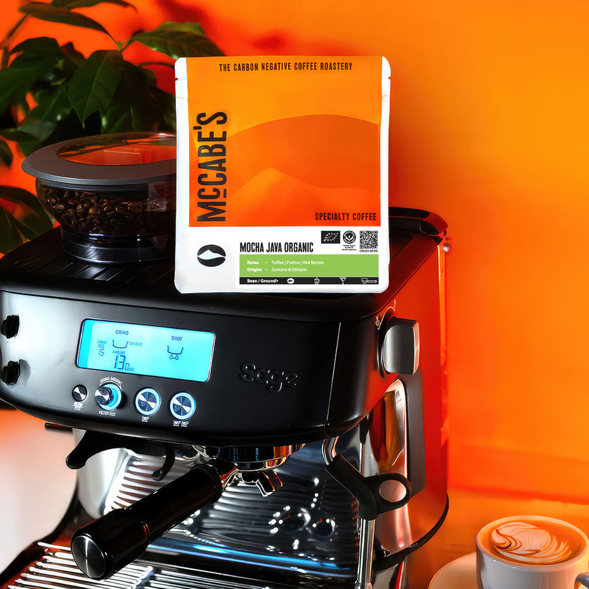 Mocha Java Organic - 2022 & 2024 Great Taste Award Winner