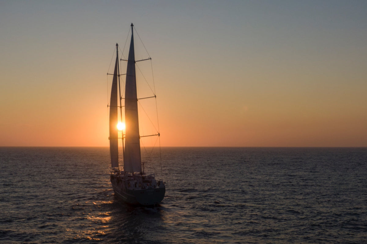Fresh Coffee, Clean Ocean - McCabe’s Brazil Organic Arrives by Sailboat